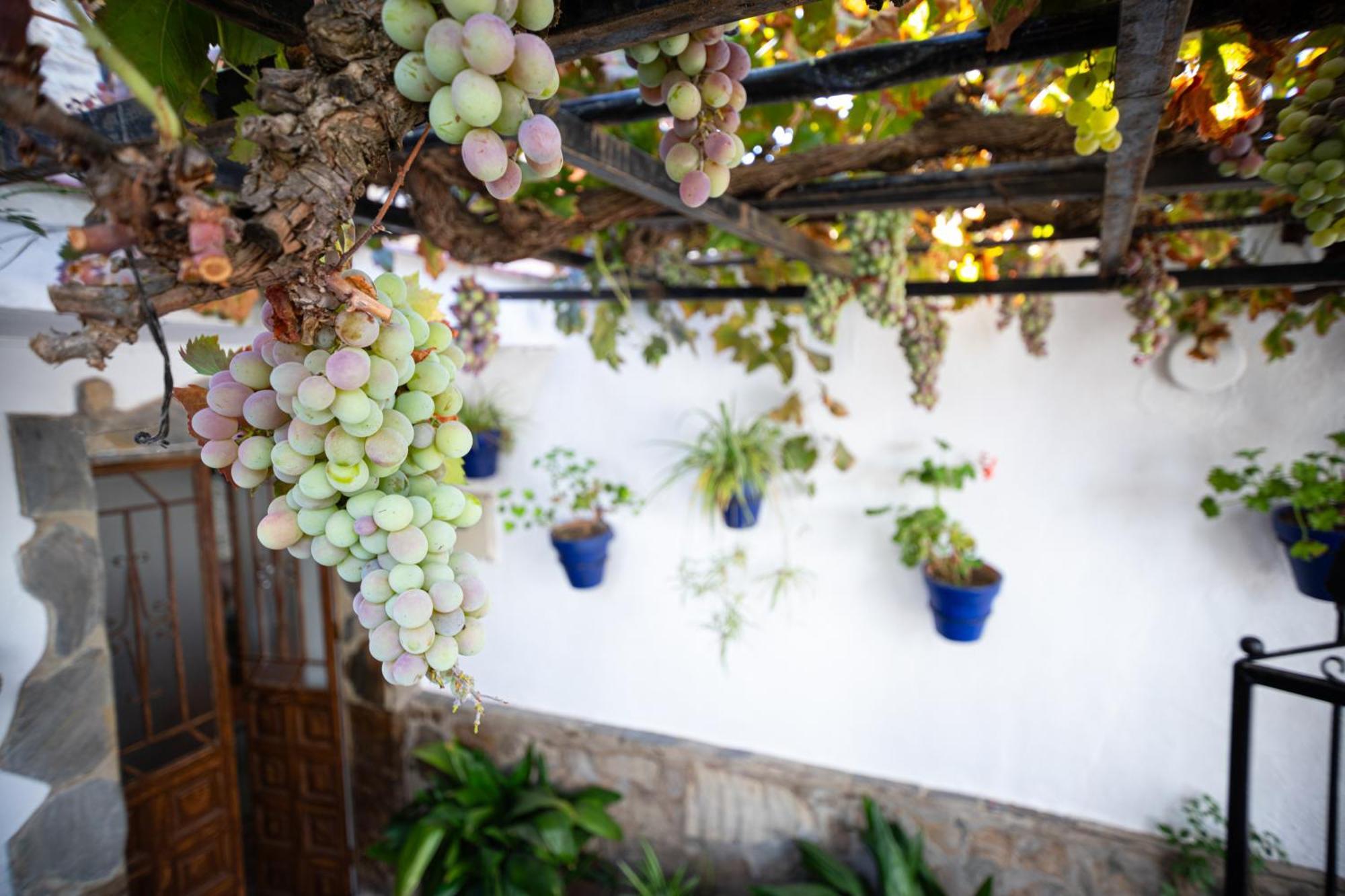 The Pava'S House Ronda Exterior foto